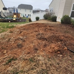 Tree Service Project