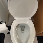 Cleaning
