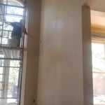 Replace drywall trim and repaint