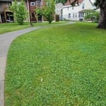 Landscaping Project