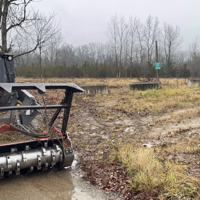 Forestry Clearing