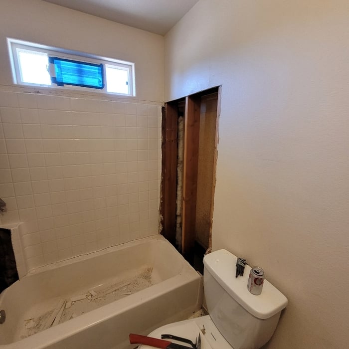 Bathtub/Shower conversion