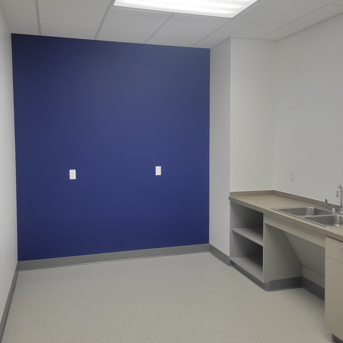 27 Accent Walls In Offices
