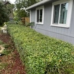 Housecleaning Project