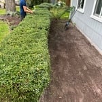 Housecleaning Project