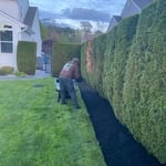 Landscaping Project