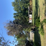 Tree Service Project