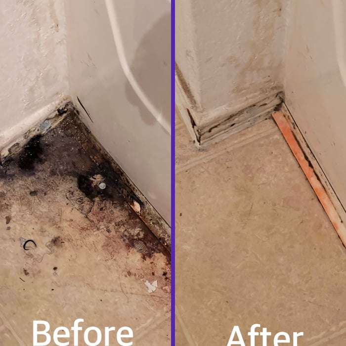 Renovation Clean Up Continued