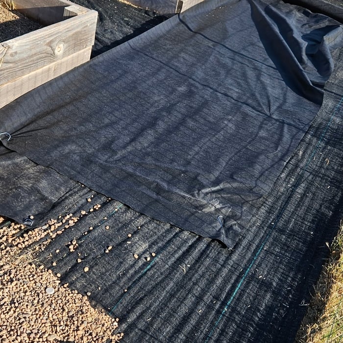 So after I killed all the grass I leveled the dirt and then I went shopping around to find the heavy duty weed fabric to lay down