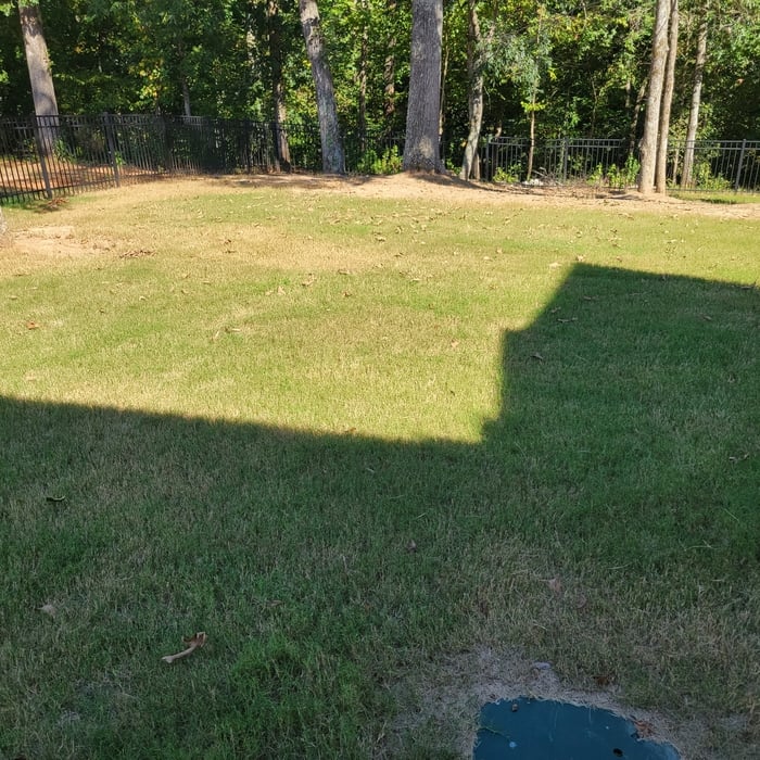 Lawn Care Maintenance