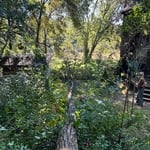 Tree Service Project