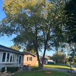 Tree Service Project