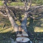 Tree Service Project