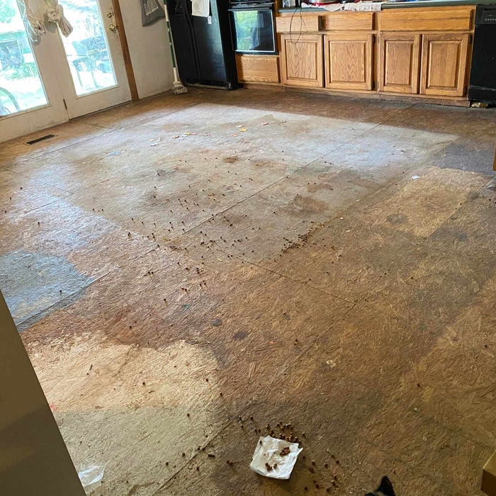 Floor