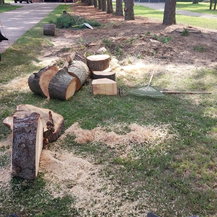Additional Photos