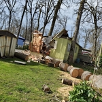 Thankfully no one was injured and we were able to get the tree cleaned up.