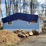 After removing the tree