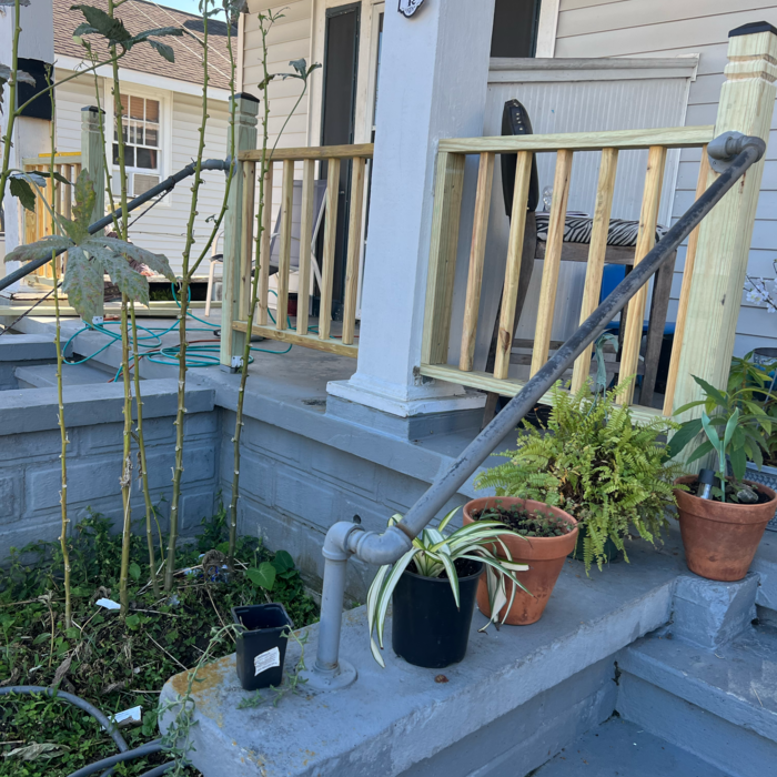Additional Photos