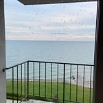 Lake midges