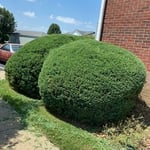 Landscaping Project
