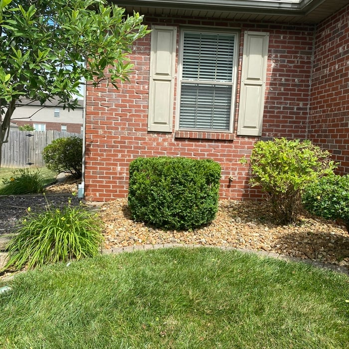 Landscaping Project