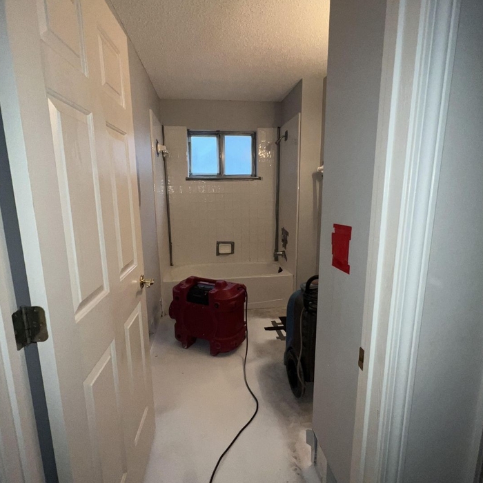 Mold Remediation