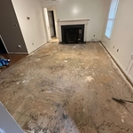 Carpet