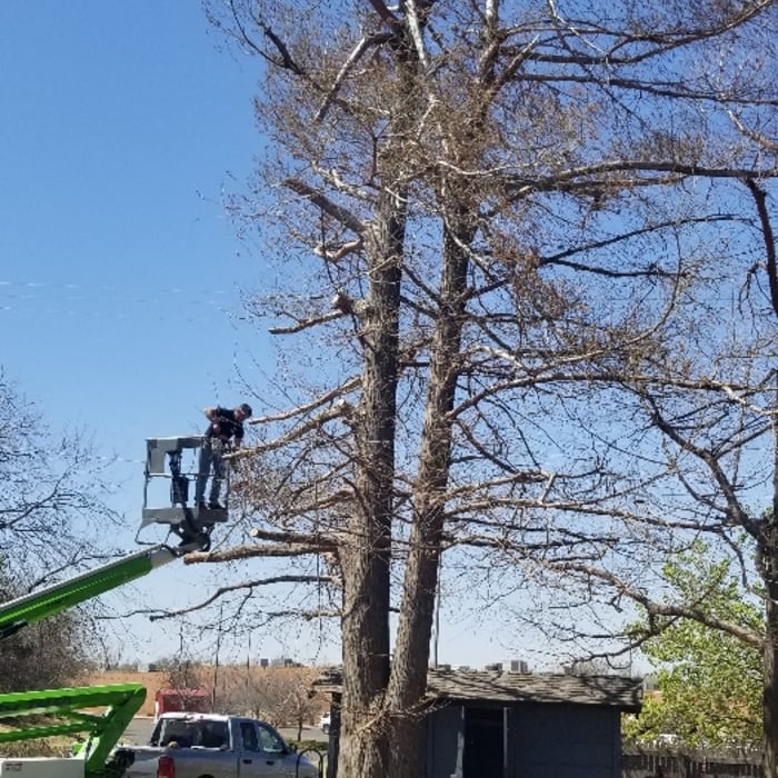 Additional Photos