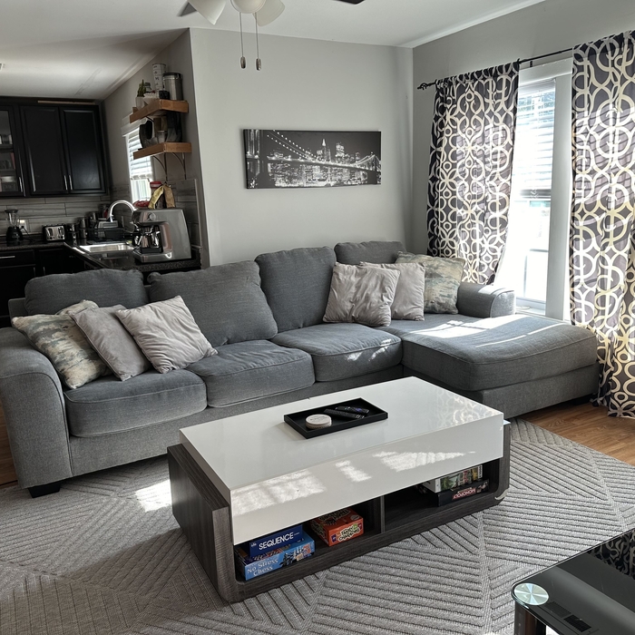Housecleaning Project
