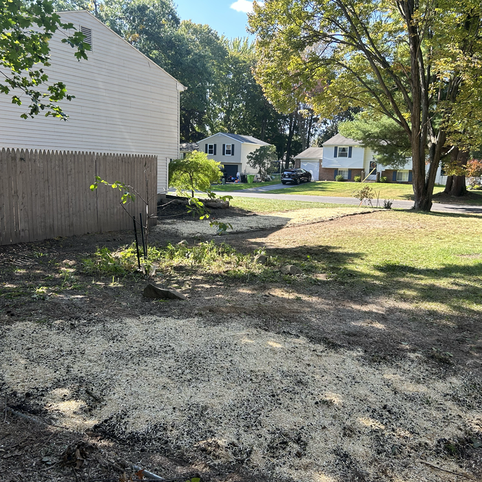 Additional Photos