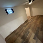 Basement remodel
