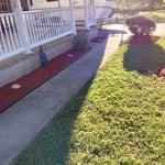Fall clean up