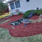 Fall clean up