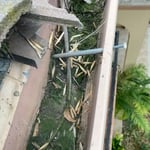 Gutter Cleaning Project