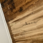 Painting - Interior Project
