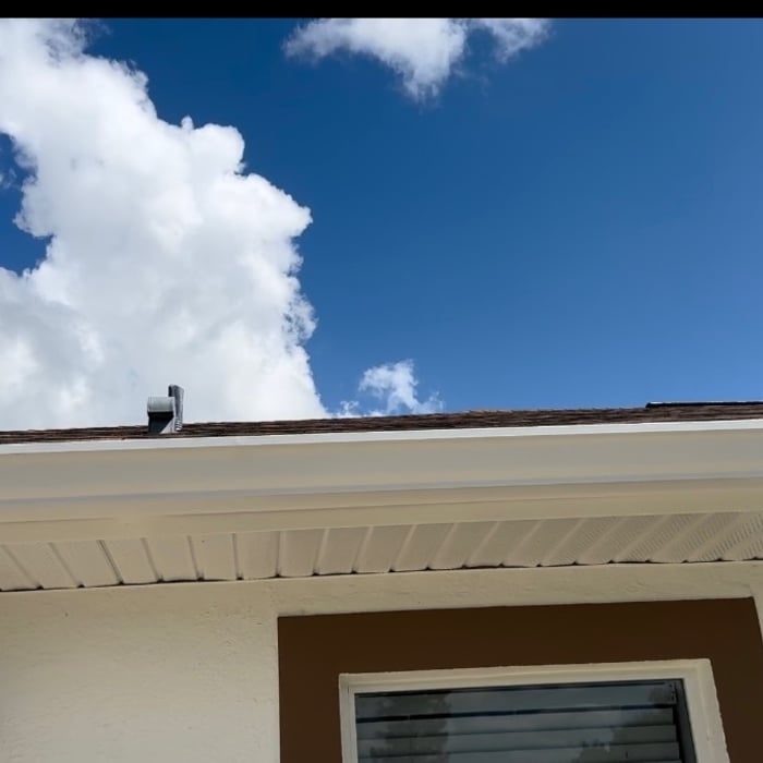 Gutters cleaning