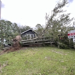 Tree Service Project
