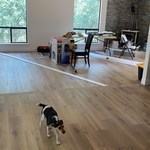 Flooring Sales/Installation/Repair Project
