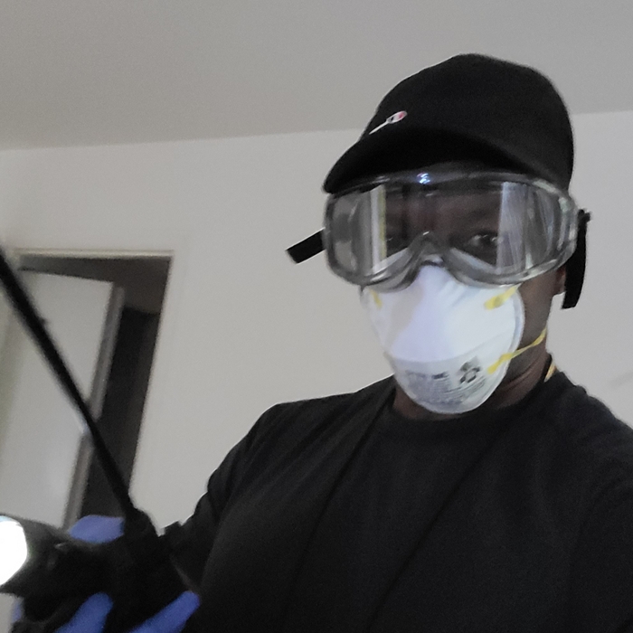 The day of getting rid of the infestation of gnats. I'm good at what I do
