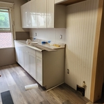 Apartment remodel