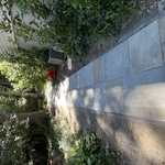 Landscaping Project