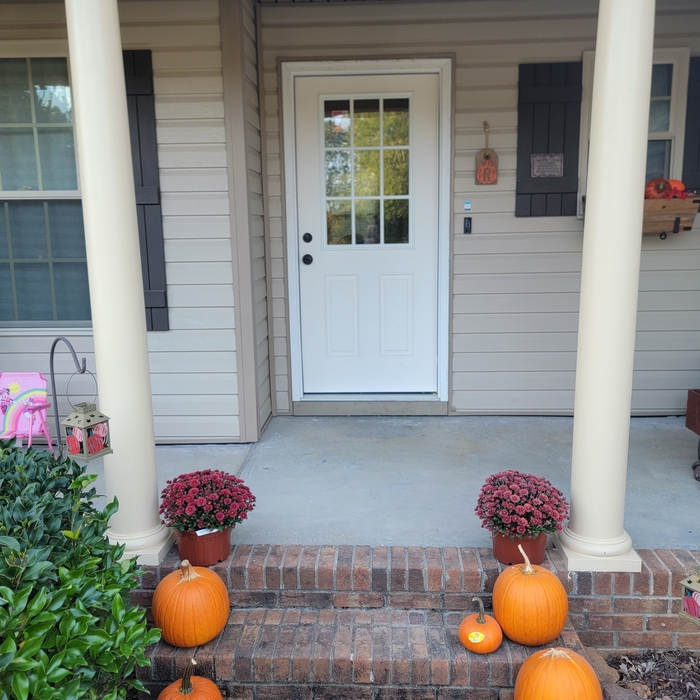 New front door and frame finished