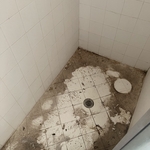 Housecleaning Project