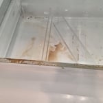 Move out clean