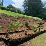 Landscaping Project