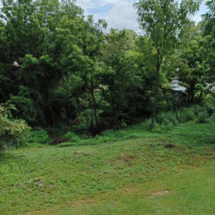 Landscaping Project