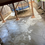 Backyard Cleanup