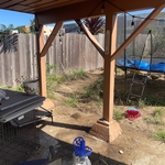 Backyard Cleanup