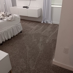Carpet Cleaning Project