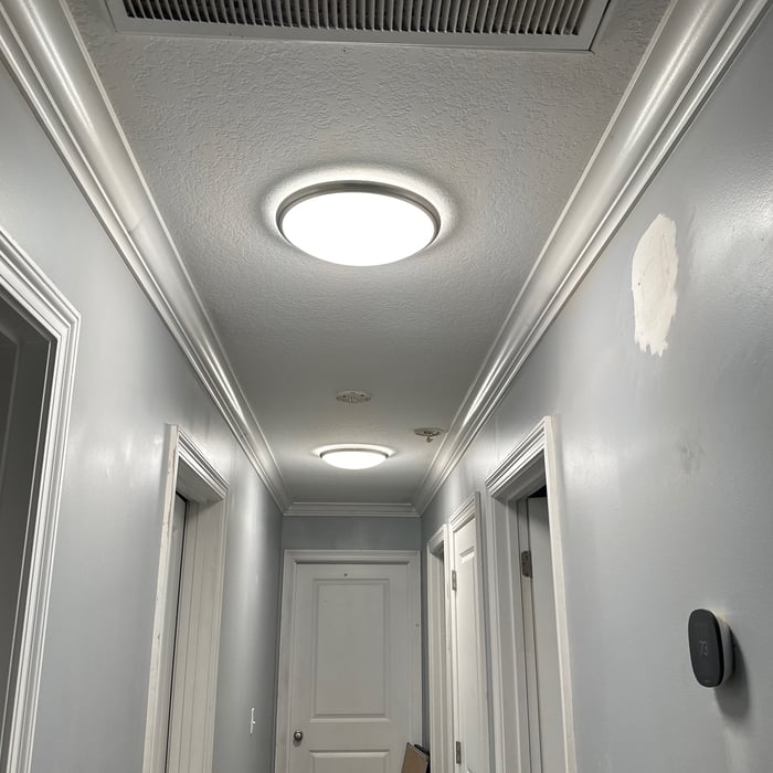 New Lights